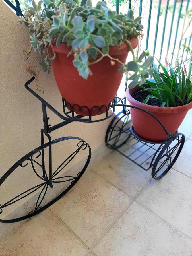 Luxury House Papadimitriou Holiday home Asprovalta